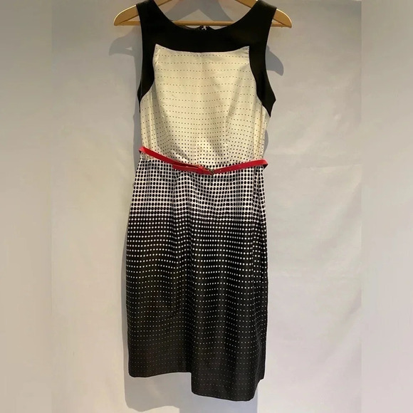 The Limited dress, white/black ombré dots with belt, sz 8 - Picture 1 of 9